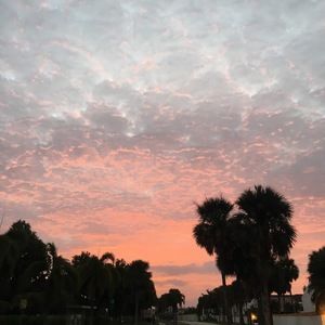 Meet your Posher, Nicholas